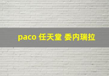 paco 任天堂 委内瑞拉